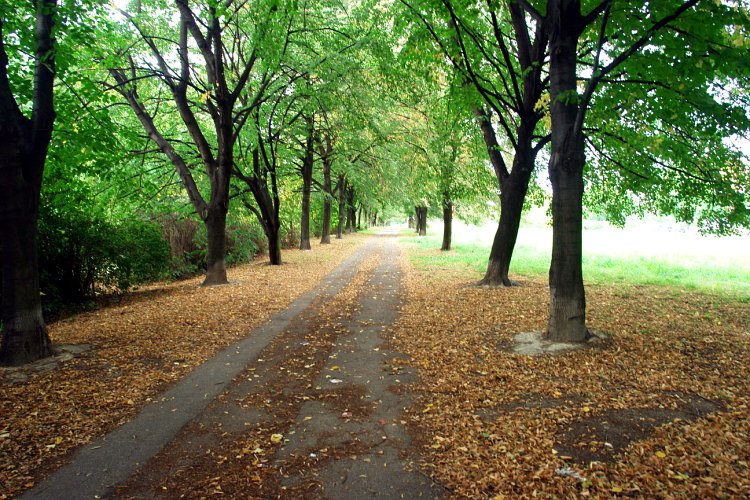 Osiedle D - Dąbrowskiego